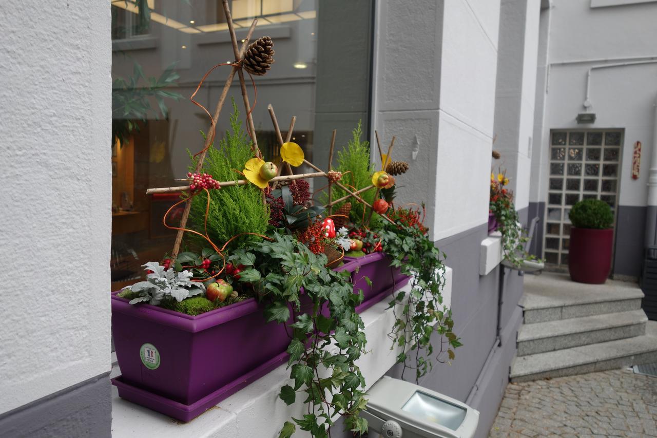 Mercure Epinal Centre מראה חיצוני תמונה